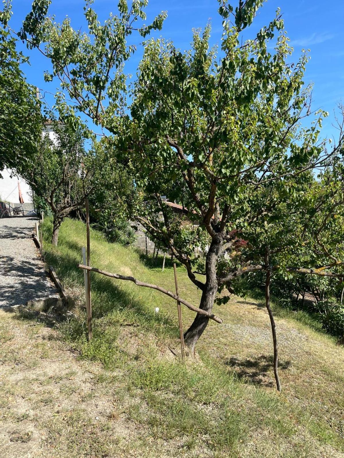 Casa Petra - Casa Tre Stelle - Casa Caneva - Ferien Fuer 6-14 Personen Ponti Εξωτερικό φωτογραφία